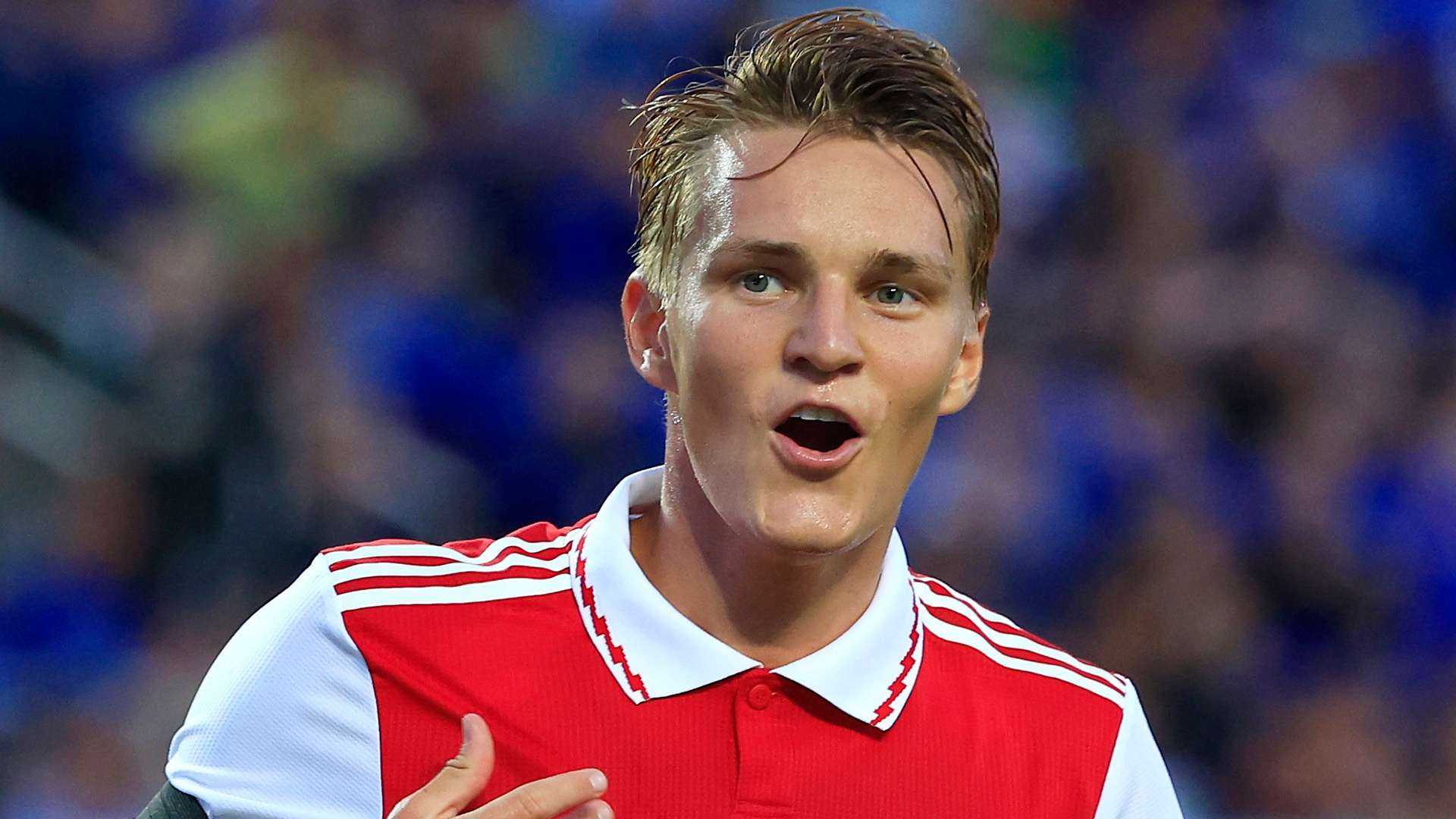 的强力支持 的强力支持