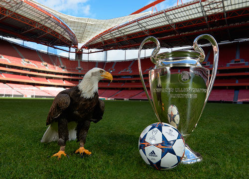 见证山东泰 见证山东泰