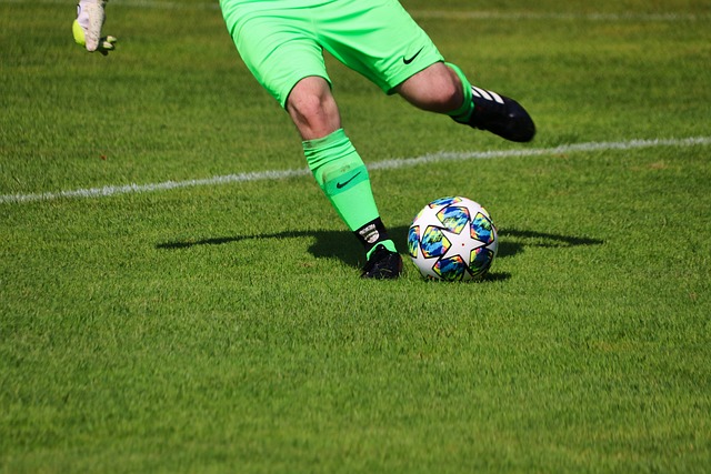 未来展望 未来展望