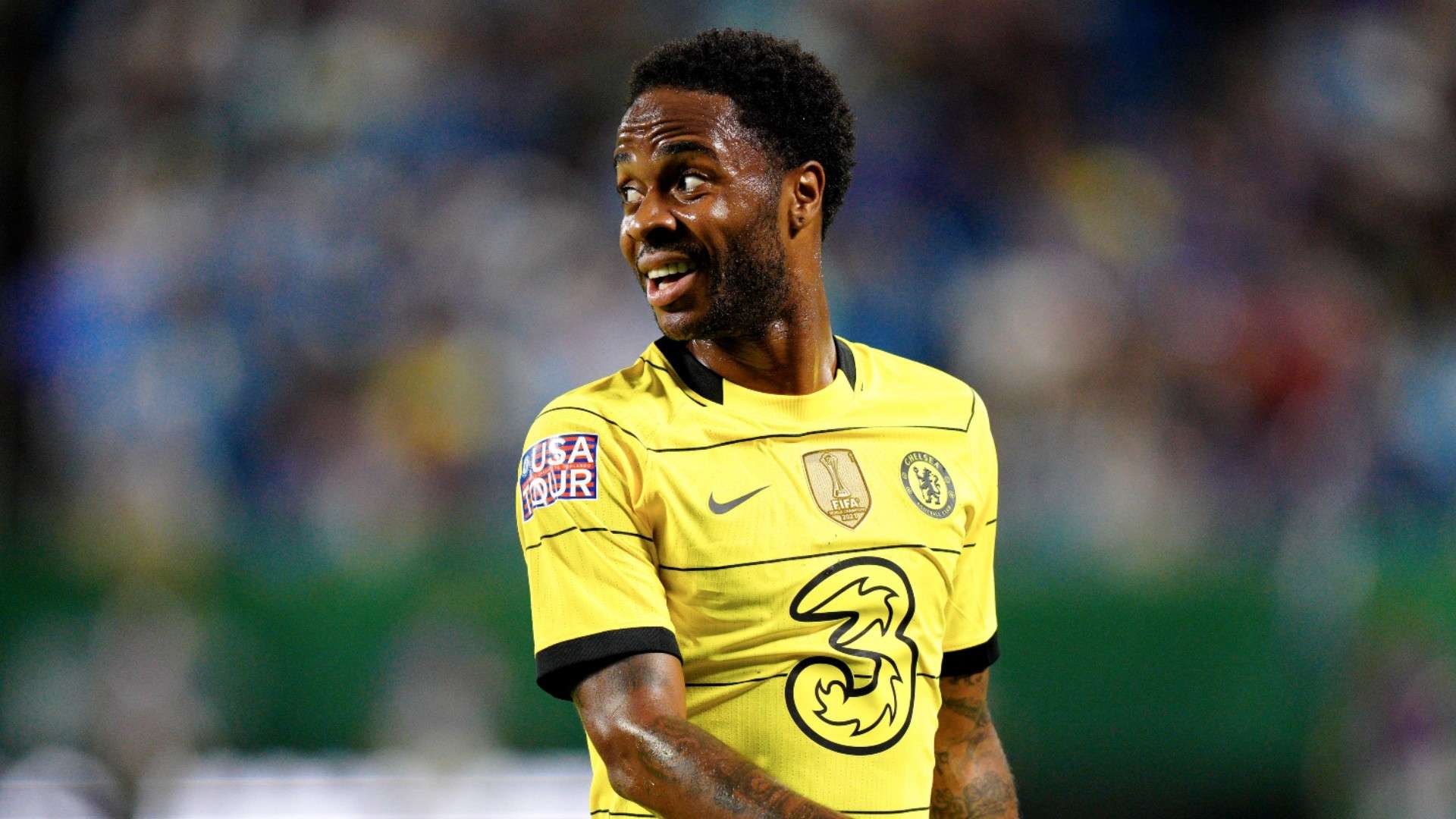 我们期待有 我们期待有